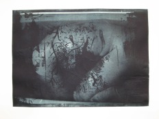 Fishtank, 2011. Hoogdruk, fotopolymeer op papier. 30 x 40 cm.